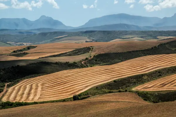 South Africa / stevepb / Pixabay South Africa / stevepb / Pixabay