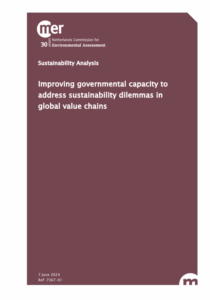 Cover of the Sustainability Analysis report 'Improving governmental capacity to address sustainability dilemmas in global value chains'