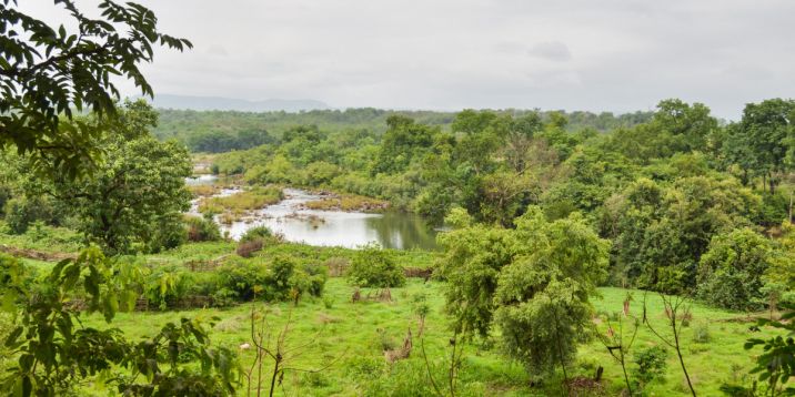 Guinea landscape