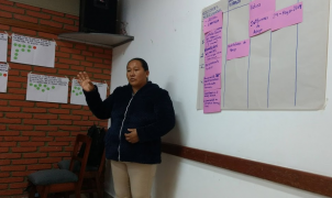 Using ESIA information for monitoring - Bolivia