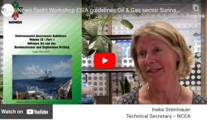 News flash | ESIA guidelines oil & gas - Suriname