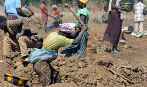Niou Mine Burkina Faso: advice on scoping report